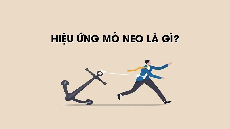 Hiệu ứng mỏ neo là gì? Những cách ứng dụng hiệu ứng mỏ neo hiệu quả nhất